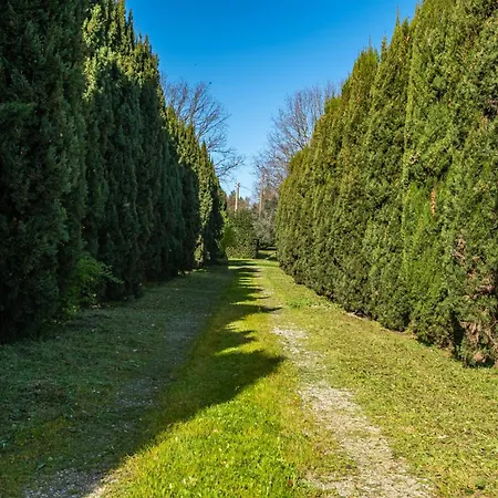 Farm stay Rosaspina - 5